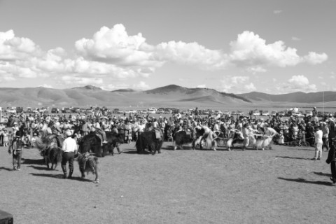 Монгол орны маань ядуу тарчиг хөрс 70 сая малыг идэш тэжээлээр хангахад хэцүү