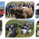 Монголд зочлох жилийн онцлох эвентүүд