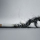 Янжуур тамхи импортлогчид худал мэдээ түгээж эхлэв үү?