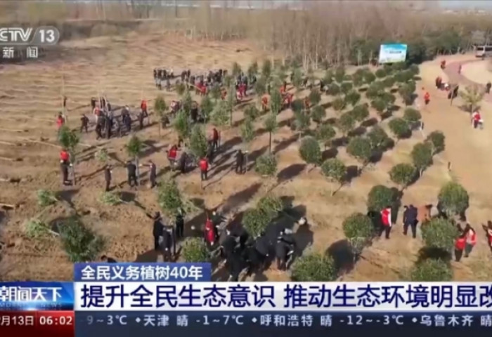 Хятад улс 40 жилд 78 тэрбум ширхэг мод тарьжээ
