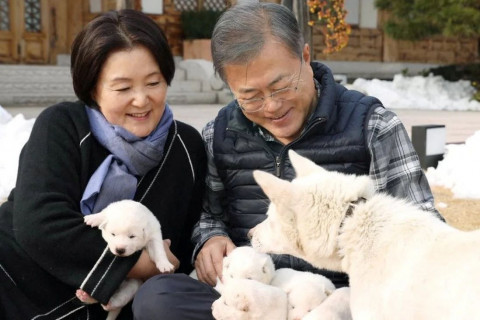 Ким Жон Унаас бэлэгт авсан нохойнуудаа Өмнөд Солонгосын ерөнхийлөгч асан буцаахаар болжээ
