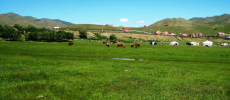 Монгол орны нийт нутгийн 50 гаруй хувьд зуншлага сайн байна