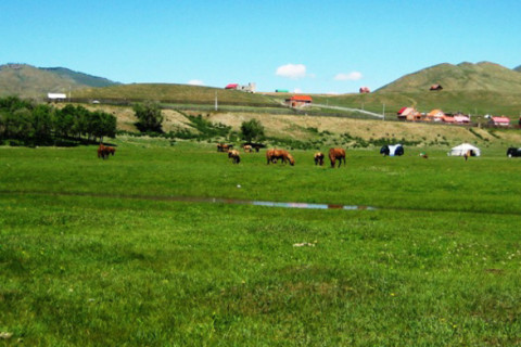 Монгол орны нийт нутгийн 50 гаруй хувьд зуншлага сайн байна