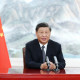 Ши Жиньпин: Дэлхийн хөгжил ноцтой ухралттай тулгарч байна