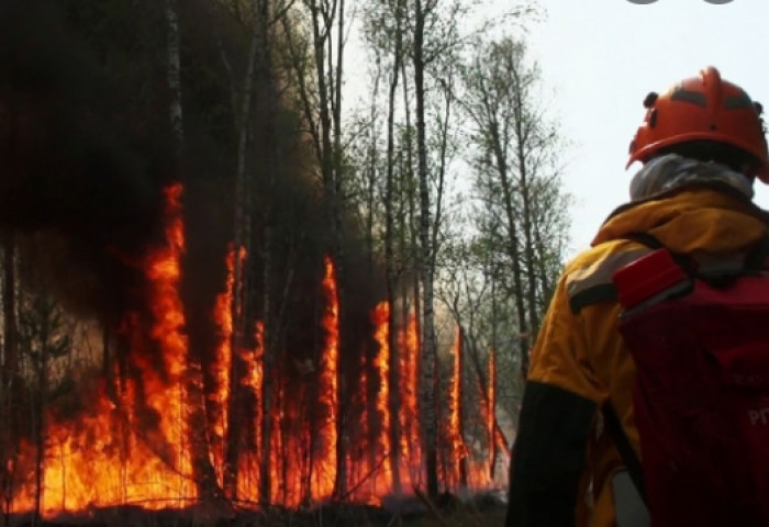 ОХУ-д 270 мянга гаруй га талбайд гарсан ойн түймрийг унтраажээ