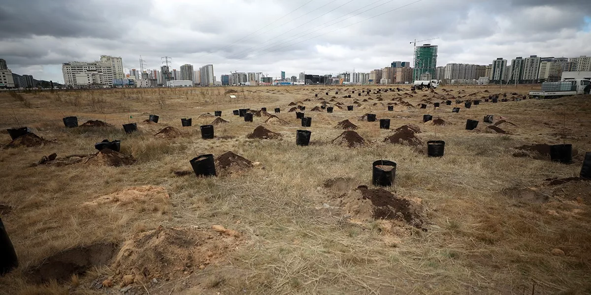 Бүх нийтээр мод тарих үндэсний өдрийг тохиолдуулан 2000 ширхэг мод тарилаа