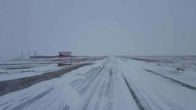 Булганаас Улаанбаатарыг зориод сураггүй болсон иргэдийн эрлийг зогсоолоо