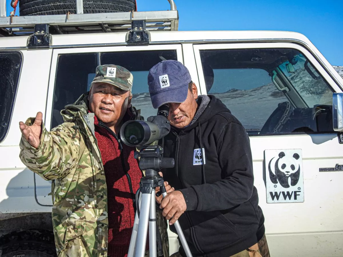 МОНГОЛ БӨХӨНГИЙН ТОО ТОЛГОЙ ӨСЧ 8500 ГАРУЙ БОЛЖЭЭ