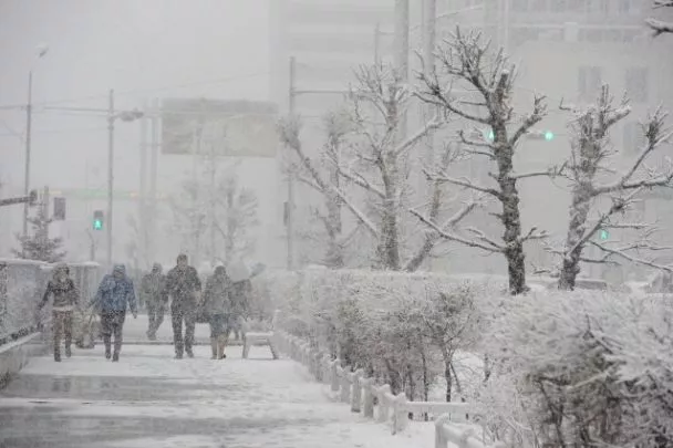 Улаанбаатарт цас орж, шуурна