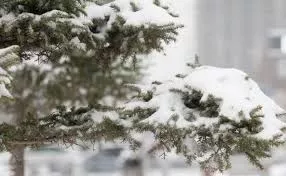 Улаанбаатарт өдөртөө 23 хэм хүйтэн