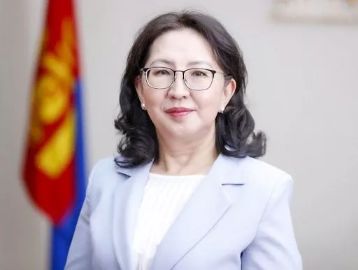 Ерөнхий сайд зөвлөхүүдээ томиллоо