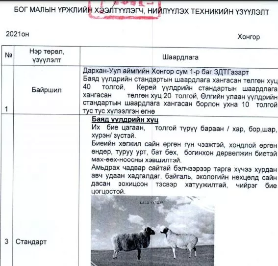 Хуц, ухна 25 саяар худалдаж авах ТЕНДЕР зарлажээ