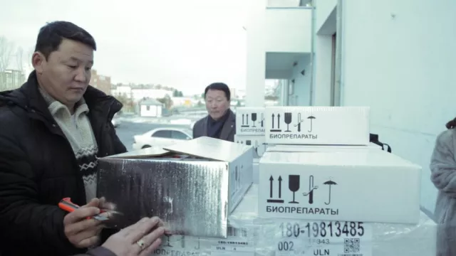МАЛ, АМЬТНЫ ГОЦ ХАЛДВАРТ ӨВЧИНТЭЙ ТЭМЦЭХ АЖЛЫГ ЭРЧИМЖҮҮЛЖ БАЙНА