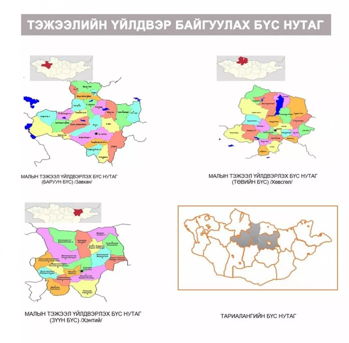ИНФОГРАФИК: МАЛЫН ТЭЖЭЭЛИЙН ҮЙЛДВЭР