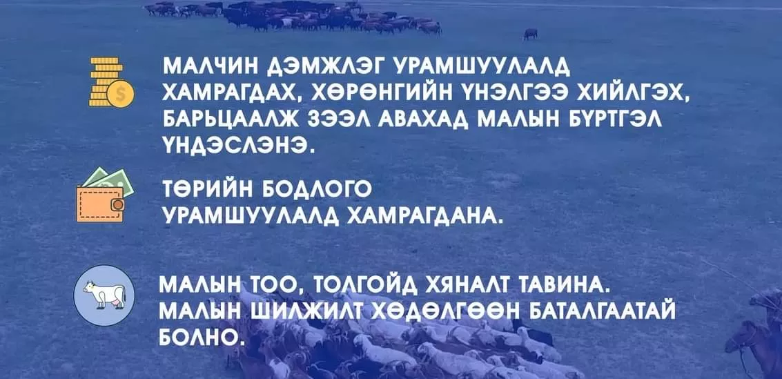 ХХААХҮЯ: Улсын хэмжээнд мал бүртгэлжүүлэлтийн ажлыг эрчимжүүлнэ
