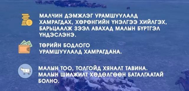 ХХААХҮЯ: Улсын хэмжээнд мал бүртгэлжүүлэлтийн ажлыг эрчимжүүлнэ