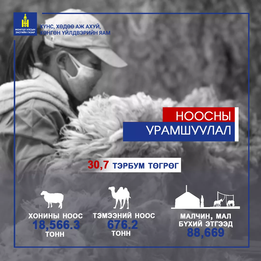 НООСНЫ УРАМШУУЛАЛ ОЛГОЛОО
