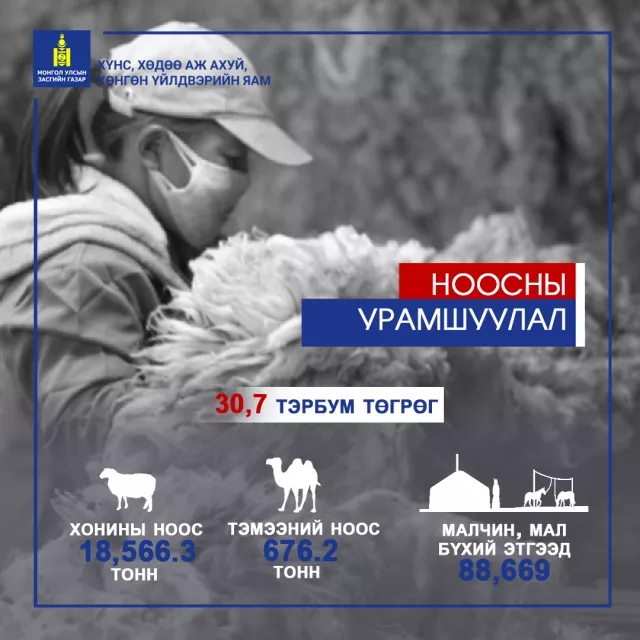 НООСНЫ УРАМШУУЛАЛ ОЛГОЛОО