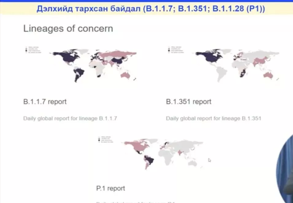 "Монголд бүртгэгдсэн коронавирусийн мутаци нь дэлхий дээр тархсан аюултай хэлбэрийн тоонд ороогүй"