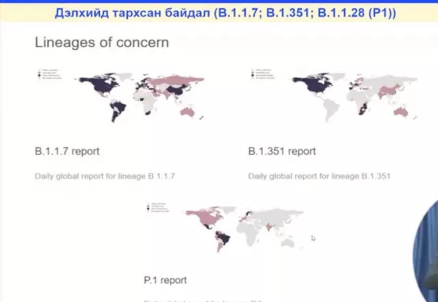 "Монголд бүртгэгдсэн коронавирусийн мутаци нь дэлхий дээр тархсан аюултай хэлбэрийн тоонд ороогүй"