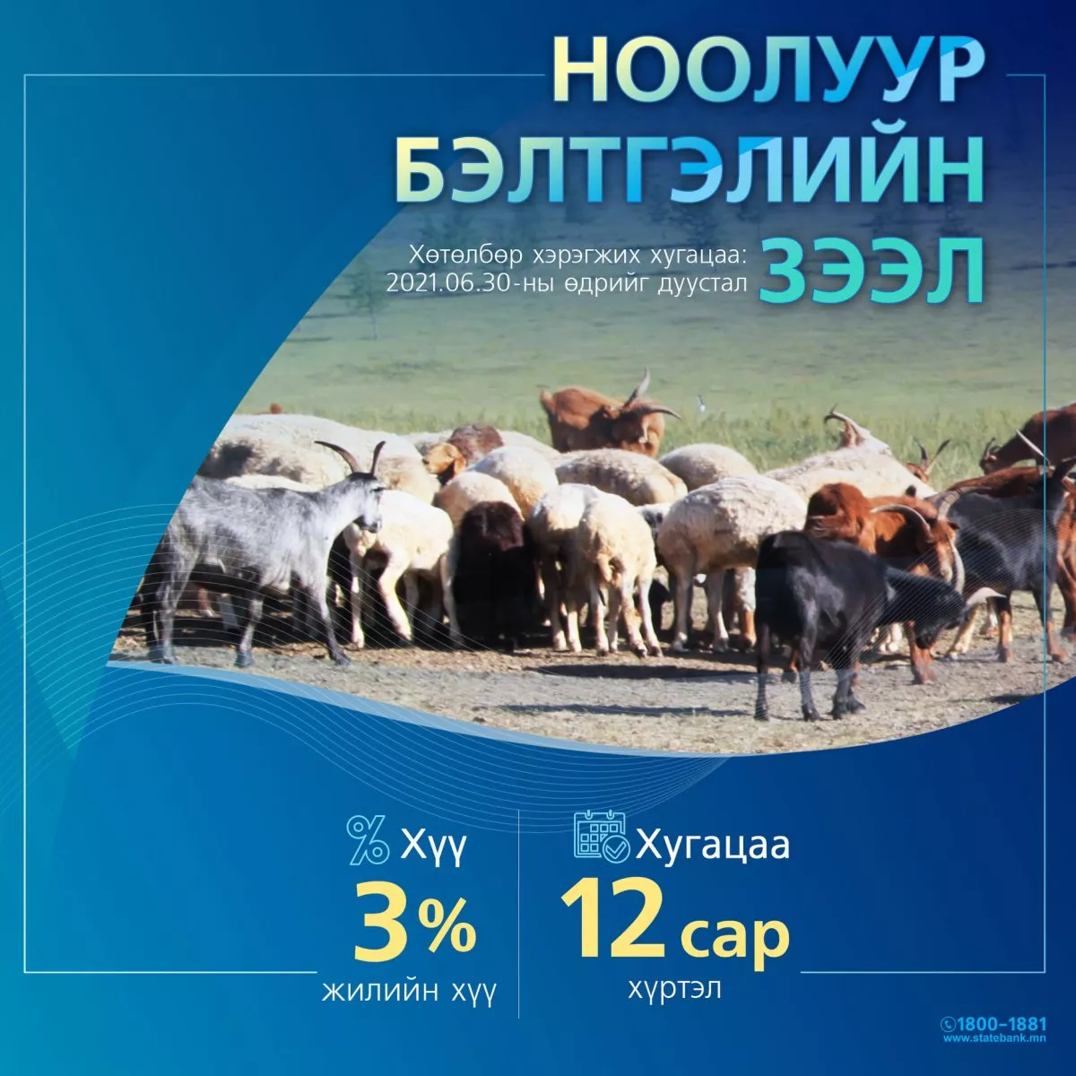 Төрийн банкнаас олгож буй жилийн 3 хувийн хүүтэй ЗЭЭЛҮҮД