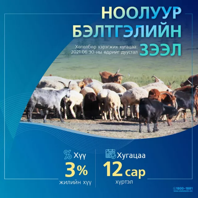 Төрийн банкнаас олгож буй жилийн 3 хувийн хүүтэй ЗЭЭЛҮҮД