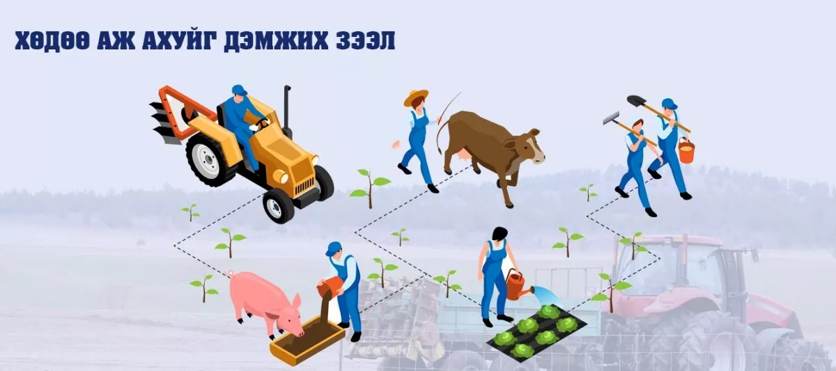 ХХААХҮЯ: “Хөдөө аж ахуйг дэмжих” зээлийг 4628 зээлдэгчид олгоод байна