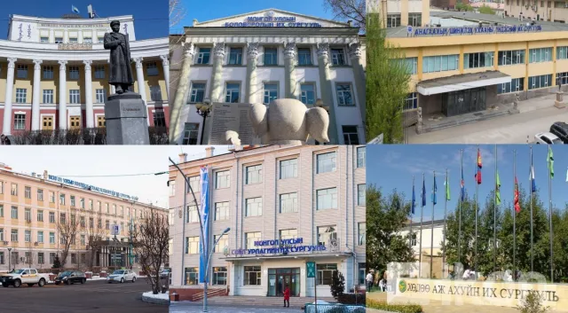 ТАНИЛЦ: Төрийн өмчит их сургуулиудын сургалтын ТӨЛБӨРийн хэмжээ