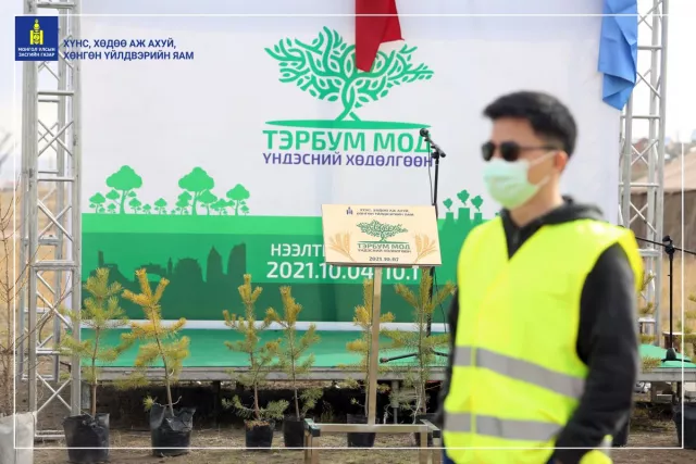 “ТЭРБУМ МОД” ХӨДӨЛГӨӨНИЙГ ДЭМЖИЖ ХХААХҮЯ-НЫХАН 1200 БУТ, СУУЛГАЦ ТАРИЛАА