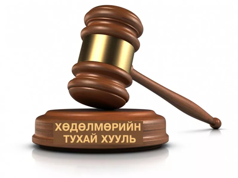 Ажил олгогч цалинг хоцроовол хугацаа хэтэрсэн хоног тутамд 0.3 хувийн алданги тооцож ажилтанд олгоно