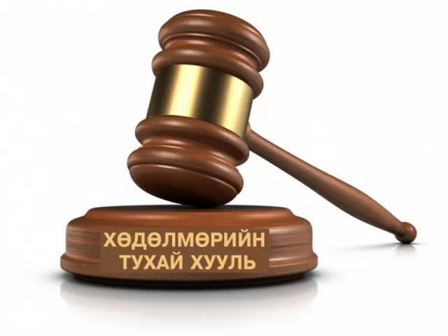 Ажил олгогч цалинг хоцроовол хугацаа хэтэрсэн хоног тутамд 0.3 хувийн алданги тооцож ажилтанд олгоно