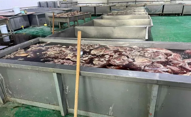 Эмээлт дэх үйлдвэрүүдийн мах нийслэлчүүдийн эрүүл мэндэд эрсдэл учруулж байна уу