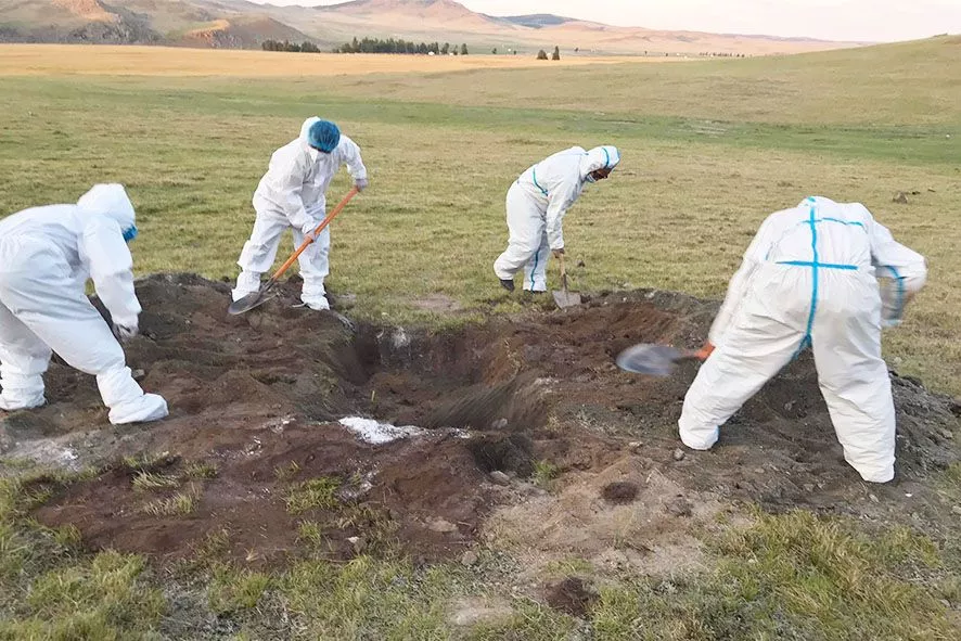 Увс аймагт хүний боом өвчин бүртгэгдлээ