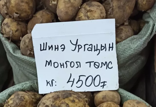 “Төмс...“