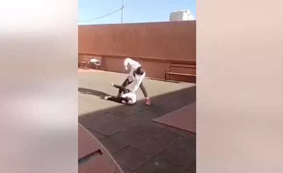 Хүүхдүүд нэгийгээ зодож буй бичлэг өнгөрсөн онд үйлдэгдсэн. Цагдаагийн байгууллага шалгалтын ажиллагаа явуулж байна