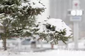 Улаанбаатарт өдөртөө 11 хэм хүйтэн байна