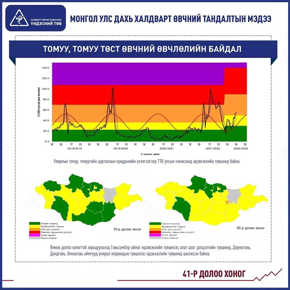 ХӨСҮТ: Томуу, томуу төст өвчин улсын хэмжээнд идэвхжлийн түвшинд байна