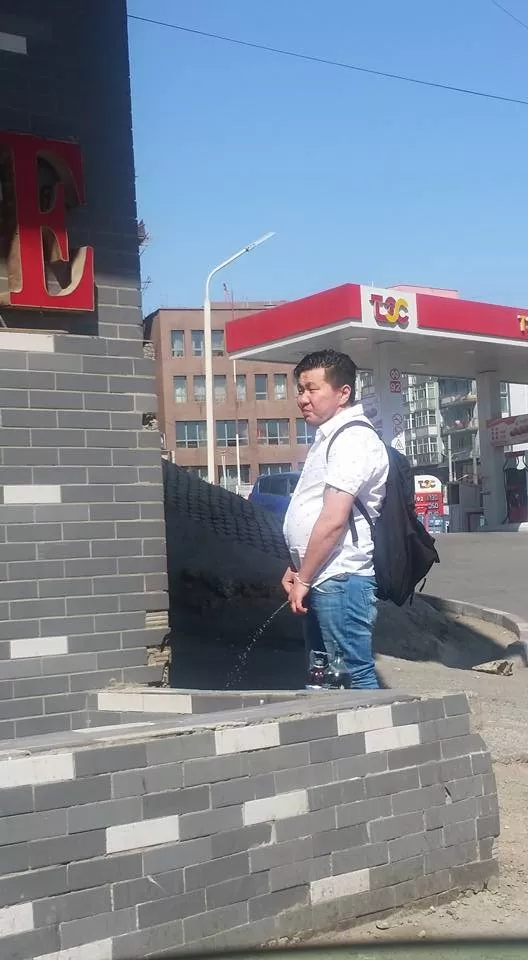  Хүн үү?  нохой юу?   