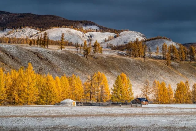 Ойрын хоногуудад ихэнх нутгаар цаг агаар тогтуун, өдөртөө бага зэрэг дулаарна