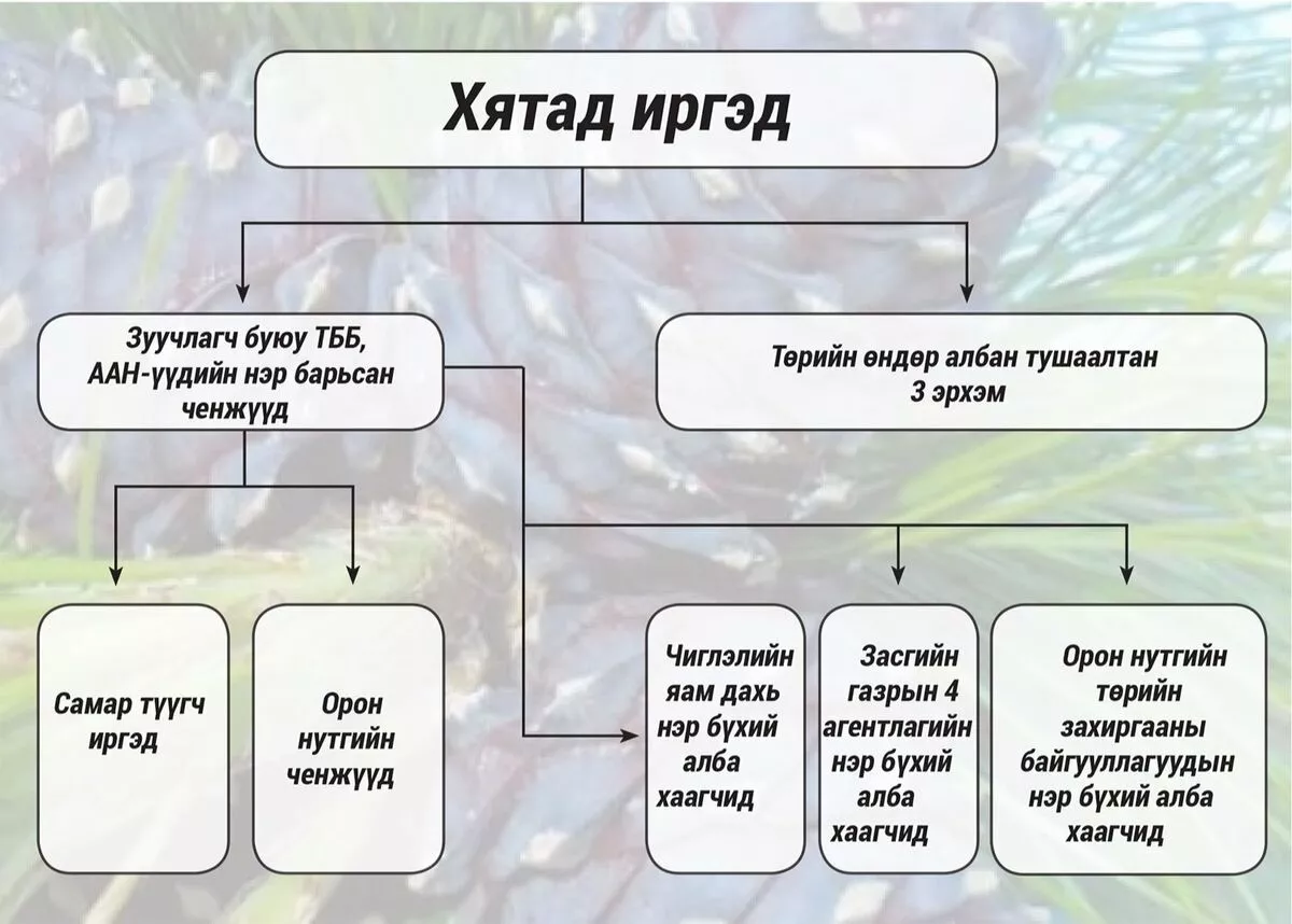 Хятад удирдлагатай самрын сүлжээ Монголд мөнгө угаадаг уу?!