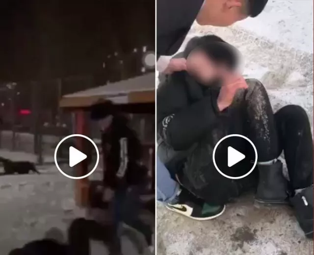 ЦЕГ: Зодуулсан хүүхдүүдийн гэмтлийн зэргийг тогтоохоор шинжээч томилсон