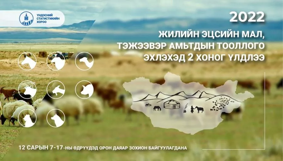 Мал, тэжээвэр амьтдын жилийн эцсийн тооллого нөгөөдөр эхэлнэ