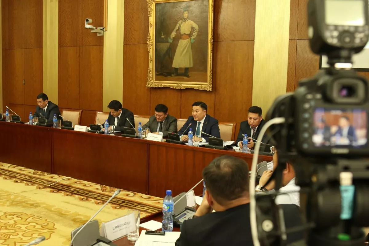 Н.ЦЭРЭНБАТ: ТУСГАЙ ЗӨВШӨӨРЛИЙГ НЭЭЛТТЭЙ, ИЛ ТОД ДУУДЛАГА ХУДАЛДААГААР ОЛГОДОГ БОЛНО