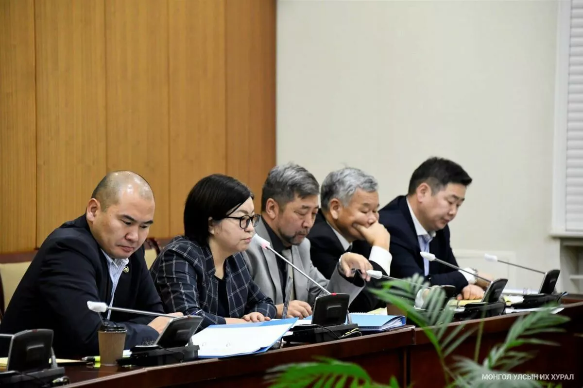 Зөвлөлдөх зөвлөлийн даргаар Г.Чулуунбаатар, орлогч даргаар Б.Отгонтөгс сонгогджээ