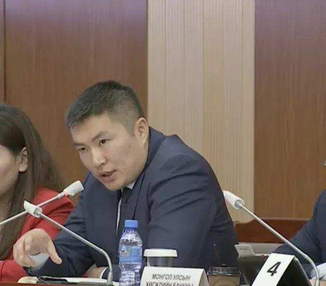 Н.Мандуул: Ноос, ноолуур, сүү, хүлэмж, оёдлын салбарын төсөлд Хөгжлийн Банк ₮150 тэрбумын алдагдал хүлээсэн