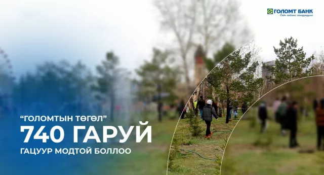 “Голомтын төгөл” 740 гаруй гацуур модтой болжээ