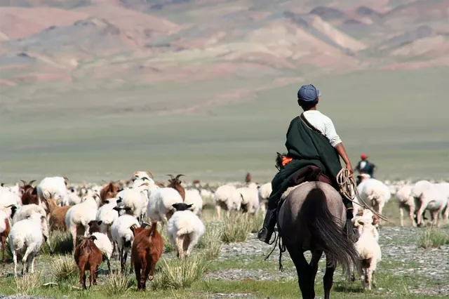 Малчин өрхийн 57 хувь нь гамшгийн эрсдэл даах чадвар дунджаас доогуур түвшинд байна