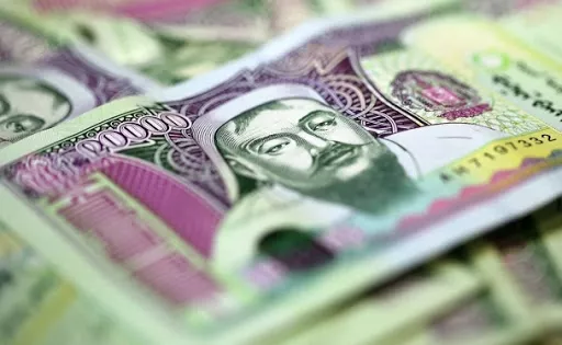 ХАА эрхлэгчдэд 5-6 хувийн хүүтэй хөрөнгө оруулалтын зээл олгоно