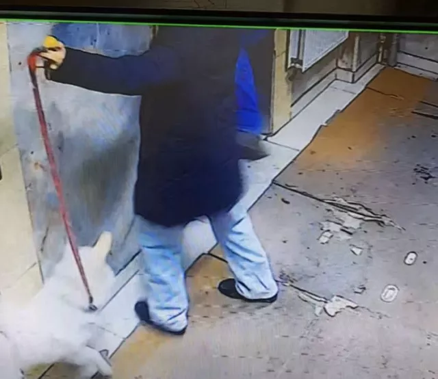 Цахилгаан шат хүлээж байсан хүүхэд, нохой хоёрыг өшиглөсөн хүнийг шалгаж эхэлжээ