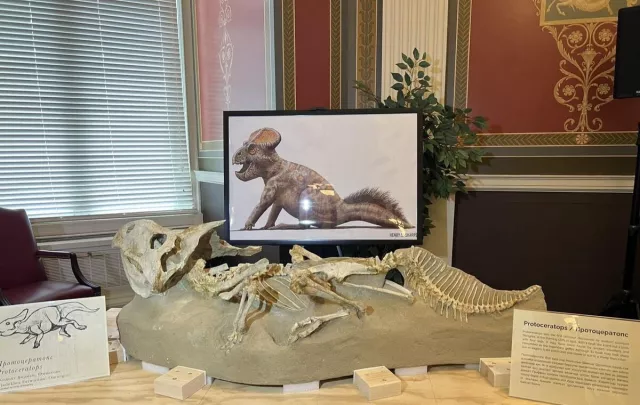 Холливудын од Николас Кейжийн  дуудлага худалдаагаар авсан “Alioramus” үлэг гүрвэлийн ясыг Монголд авчирна
